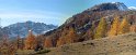 IMG_1129 - Panorama